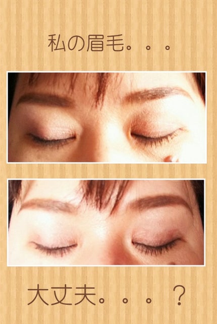 ブレンドアイブローコンパクト/オルビス/パウダーアイブロウを使ったクチコミ(1枚目)