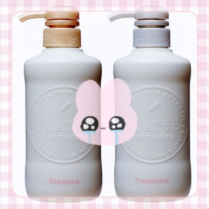 シャンプー/トリートメント DN ダメージケア/CLAYGE/シャンプー・コンディショナーを使ったクチコミ(1枚目)