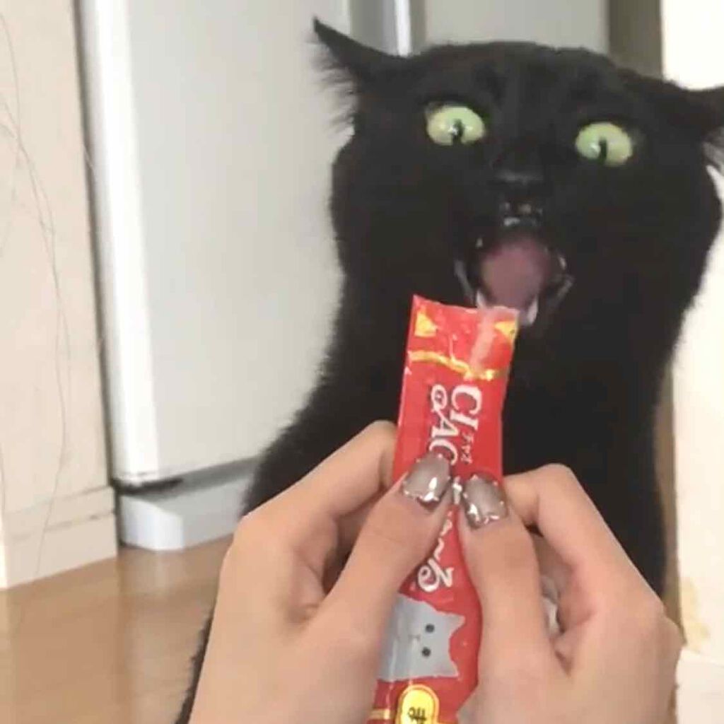 DHC 亜鉛/DHC/健康サプリメントを使ったクチコミ(3枚目)