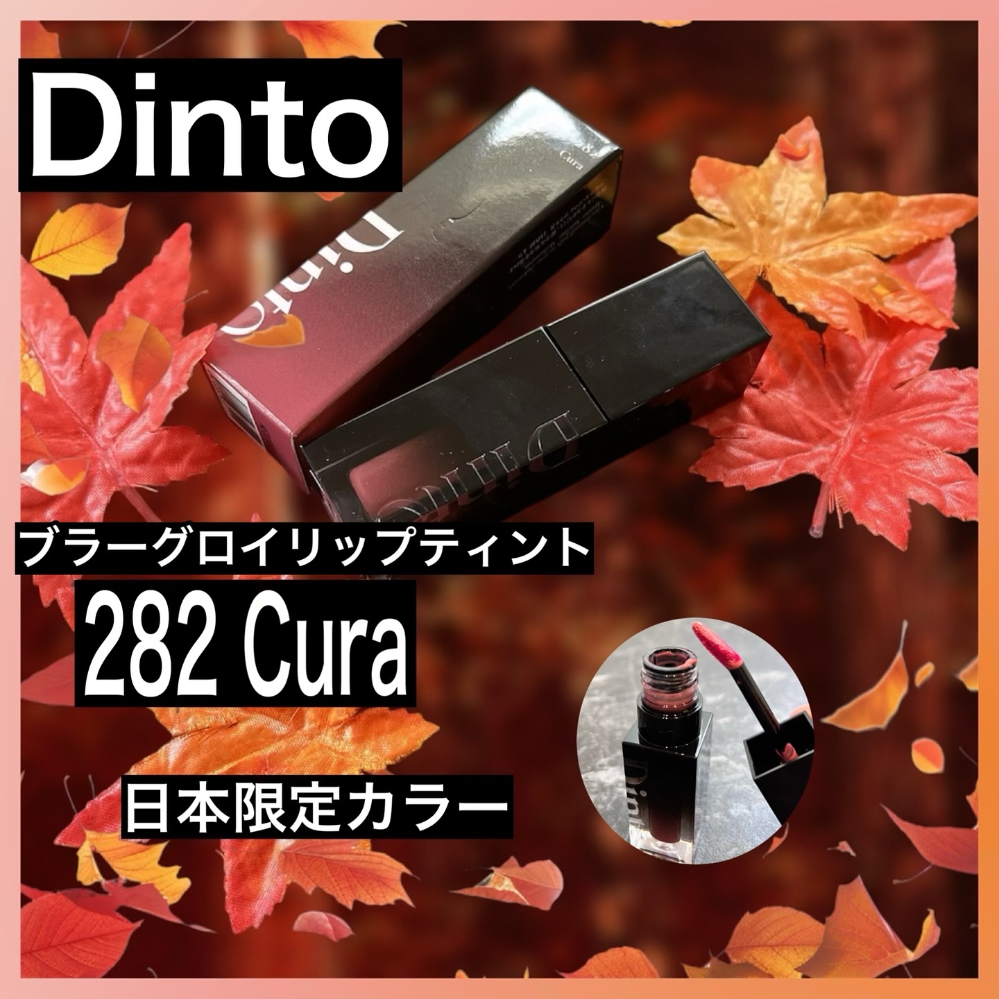 ブラーグロイリップティント 282 クラ/Dinto/リップティントを使ったクチコミ（1枚目）