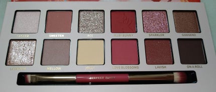 エクスプローラ12色 動物アイシャドウパレット/PERFECT DIARY/アイシャドウパレットを使ったクチコミ(3枚目)