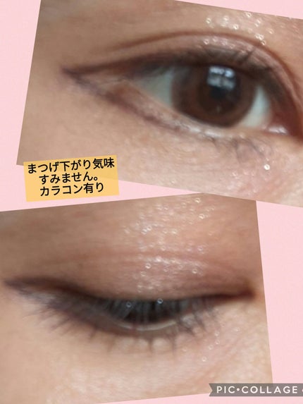 ラスティングリキッドライナー/キャンメイク/リキッドアイライナーを使ったクチコミ(2枚目)