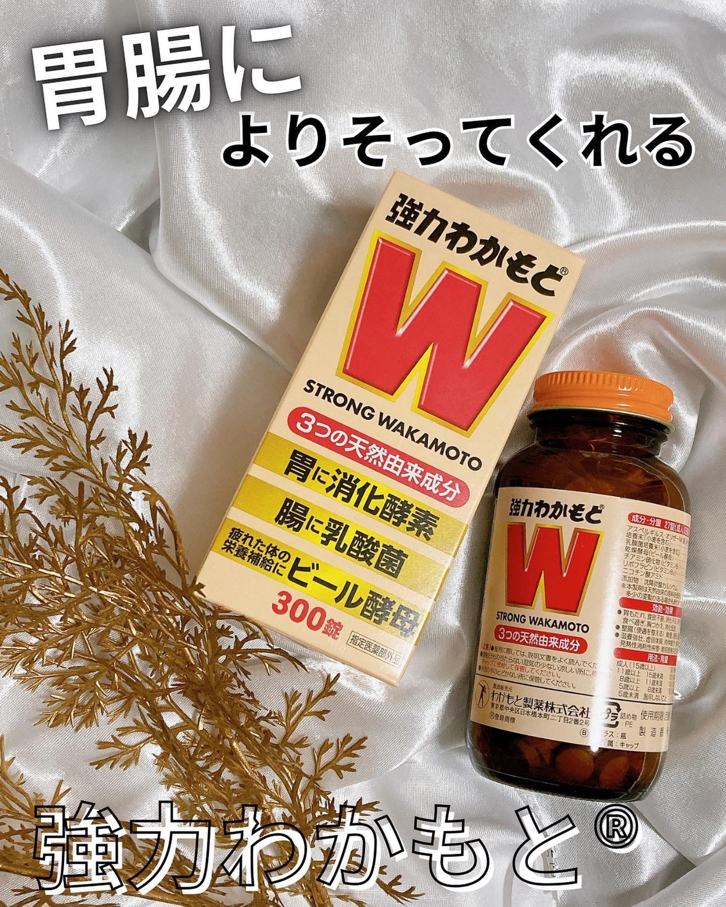 強力わかもと/わかもと製薬/健康サプリメントを使ったクチコミ(1枚目)