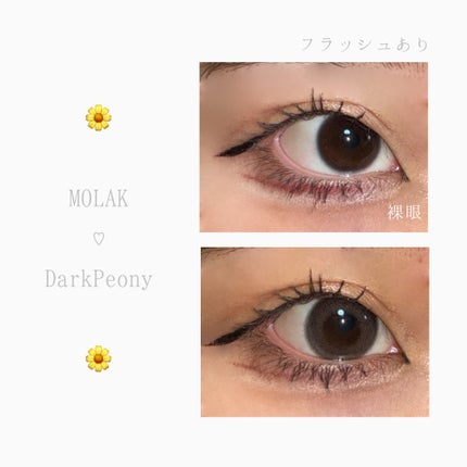 MOLAK 1month/MOLAK/1ヶ月(1MONTH)カラコンを使ったクチコミ(2枚目)