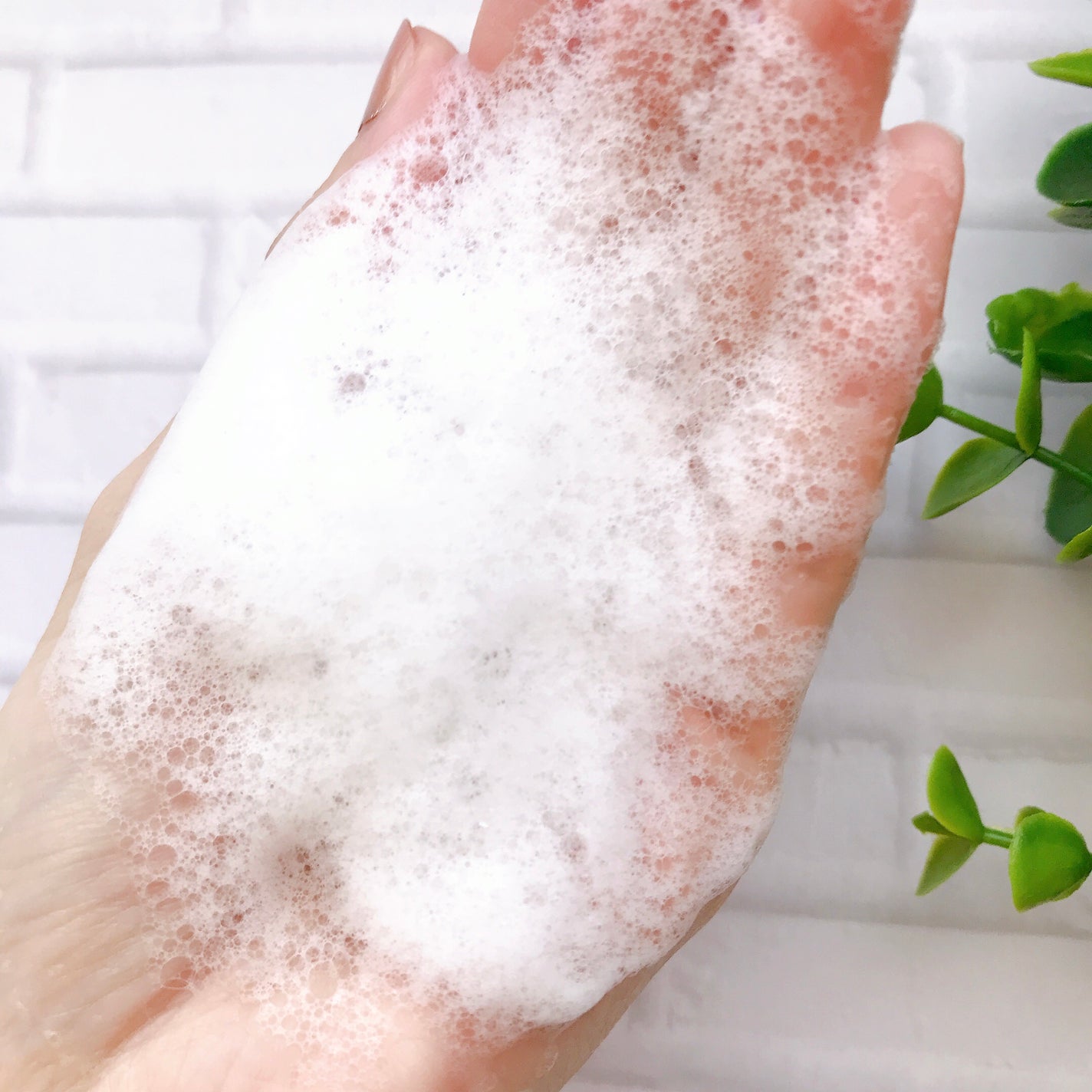 レット ミー リフレッシュ フォームクレンザー/SIORIS/洗顔フォームを使ったクチコミ(3枚目)