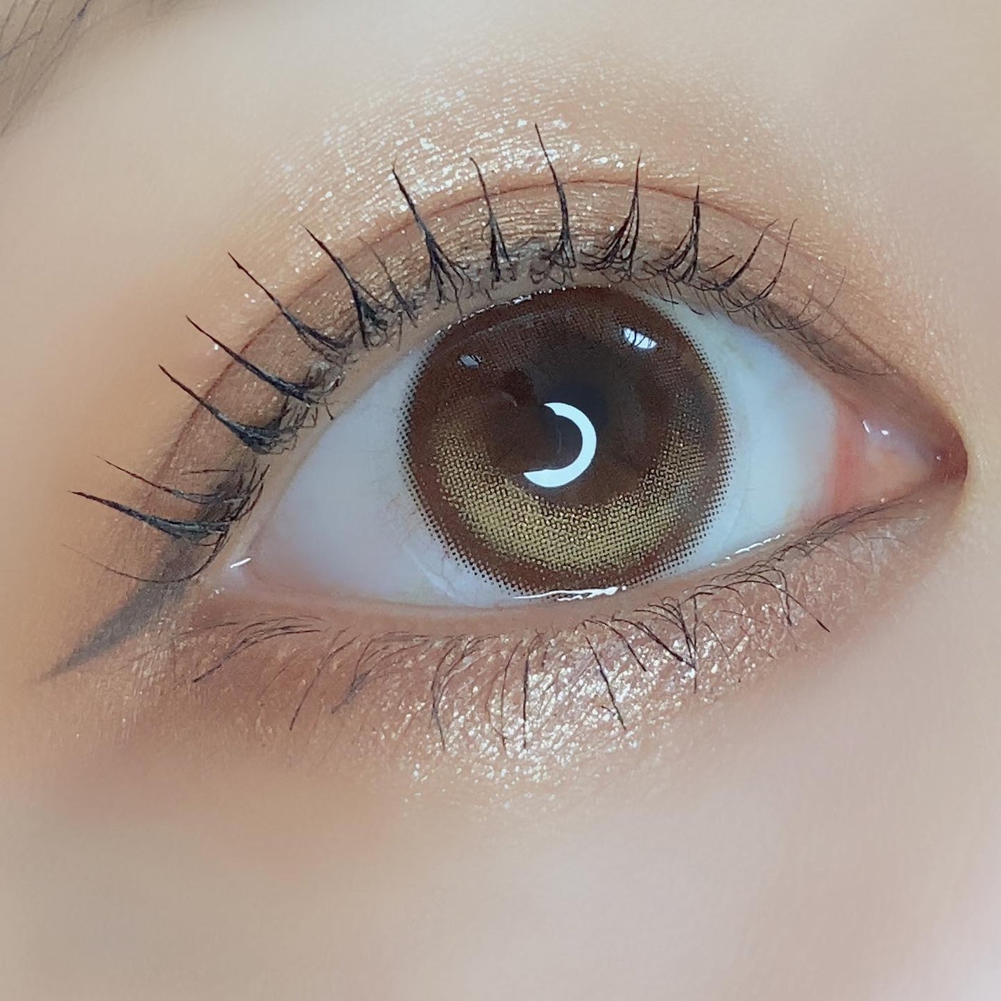 クローリングブラウン/LENSME/カラーコンタクトレンズを使ったクチコミ(3枚目)