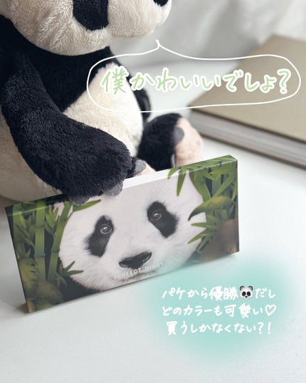 エクスプローラ12色 動物アイシャドウパレット/PERFECT DIARY/アイシャドウパレットを使ったクチコミ(6枚目)