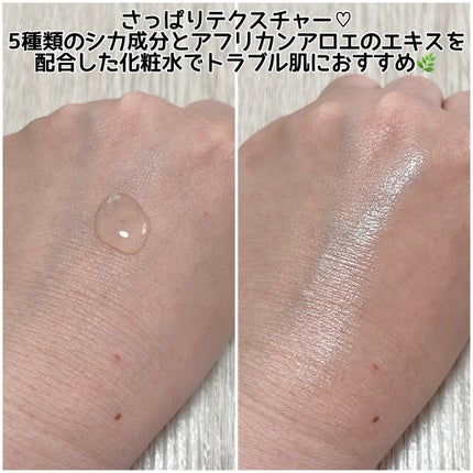 レッドブレミッシュ クリアスージングトナー/Dr.G/化粧水を使ったクチコミ(2枚目)