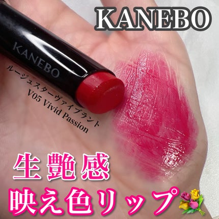 ルージュスターヴァイブラント/KANEBO/口紅を使ったクチコミ(1枚目)