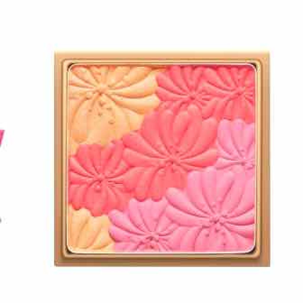 アイカラーCS/PAUL & JOE BEAUTE/アイシャドウパレットを使ったクチコミ（1枚目）