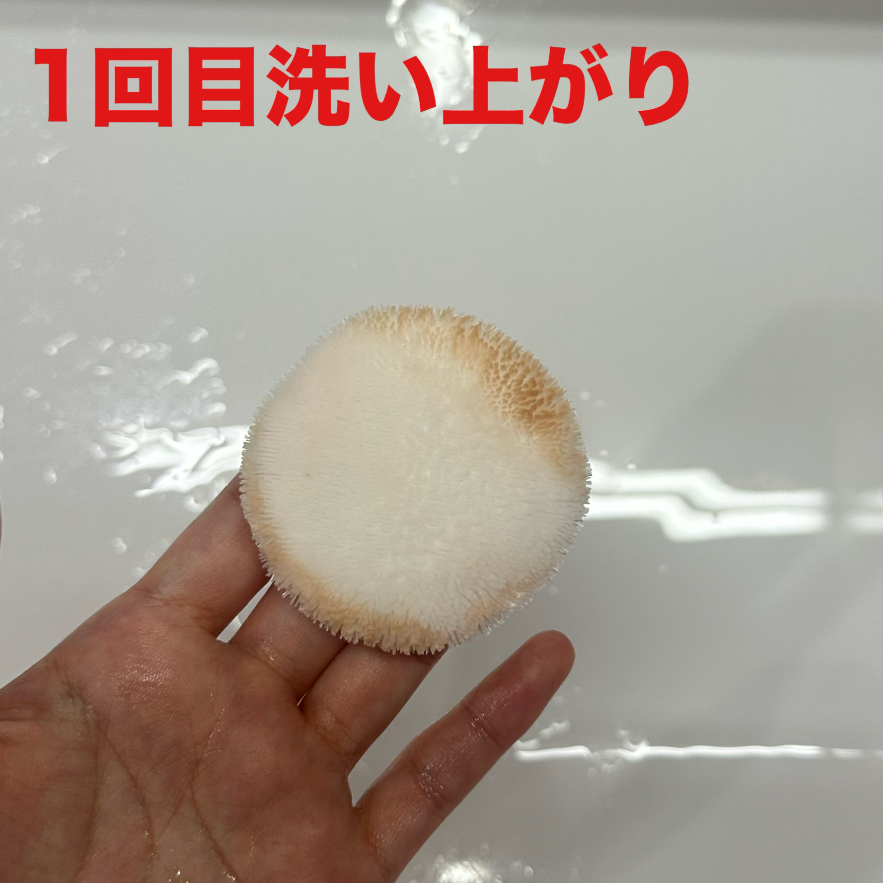 スポンジクリーナーＮ　199/SHISEIDO/その他化粧小物を使ったクチコミ（3枚目）