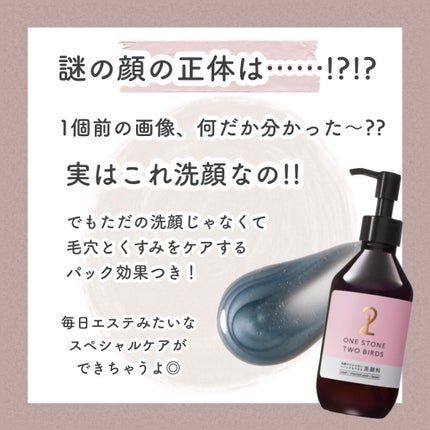 洗顔だけじゃない+パックもできる洗顔料 / ONE STONE TWO BIRDS 洗顔だけじゃない+パックもできる洗顔料 / ONE STONE TWO BIRDS