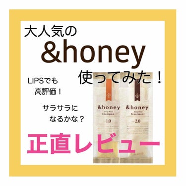 ディープモイスト シャンプー1.0／ヘアトリートメント2.0/&honey/シャンプー・コンディショナーを使ったクチコミ（1枚目）