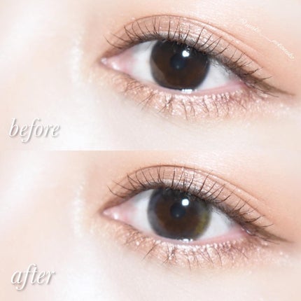 ワンデーリフレア プリフューズ ネイビー×オレンジ/Refrear/ワンデー(1DAY)カラコンの画像