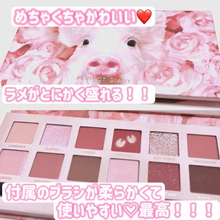 エクスプローラ12色 動物アイシャドウパレット/PERFECT DIARY/アイシャドウパレットを使ったクチコミ(2枚目)