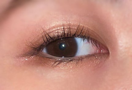 パーフェクトスタイリストアイズ/キャンメイク/アイシャドウパレットを使ったクチコミ(2枚目)