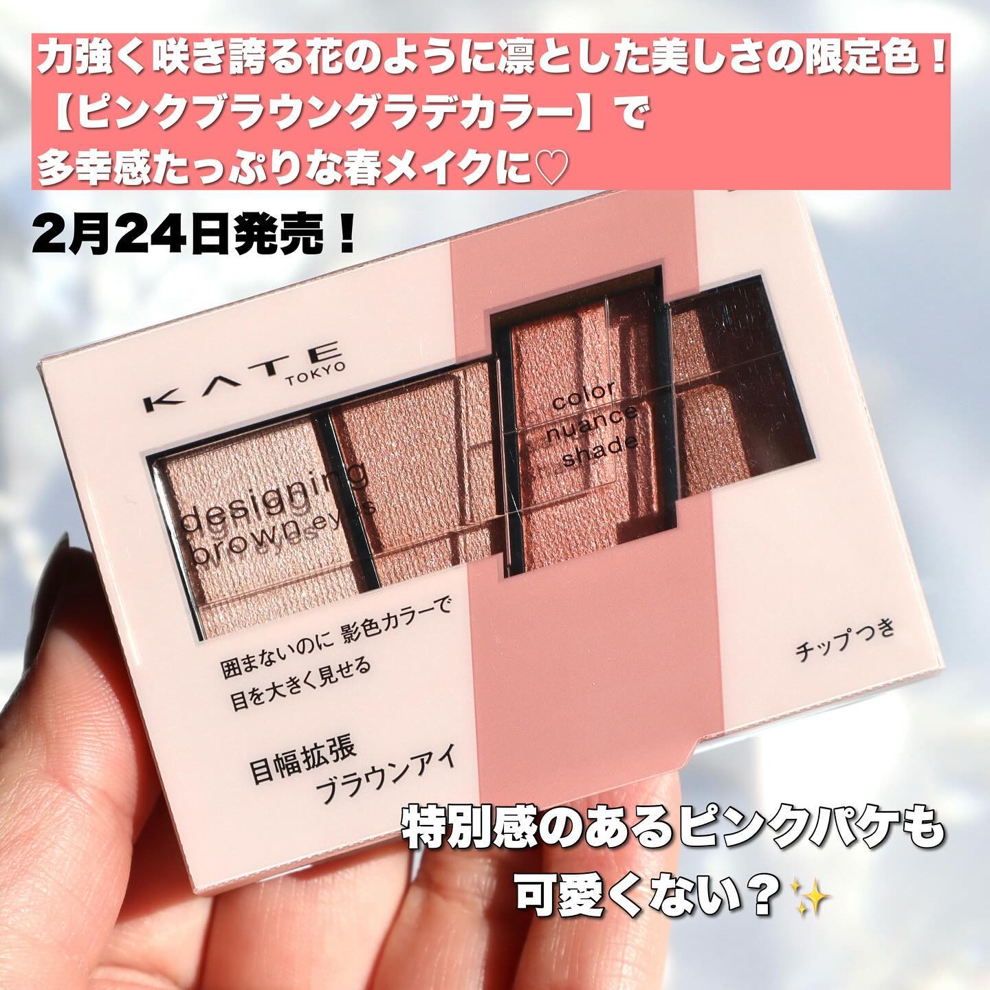 デザイニングブラウンアイズ/KATE/アイシャドウパレットを使ったクチコミ（2枚目）