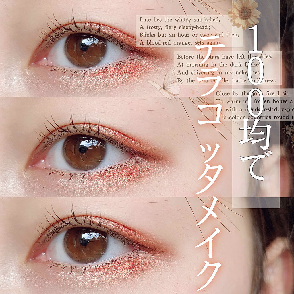 WHY NOT SPINNS 3色アイシャドウ テラコッタブラウン/DAISO/アイシャドウパレットを使ったクチコミ（1枚目）