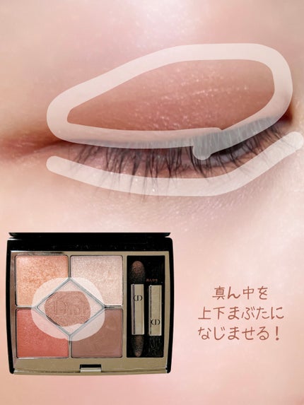 シルキースフレアイズ(マットタイプ)/キャンメイク/アイシャドウパレットを使ったクチコミ(7枚目)