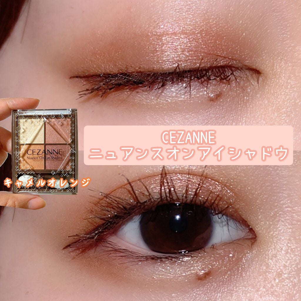 ニュアンスオンアイシャドウ/CEZANNE/アイシャドウパレットを使ったクチコミ(1枚目)