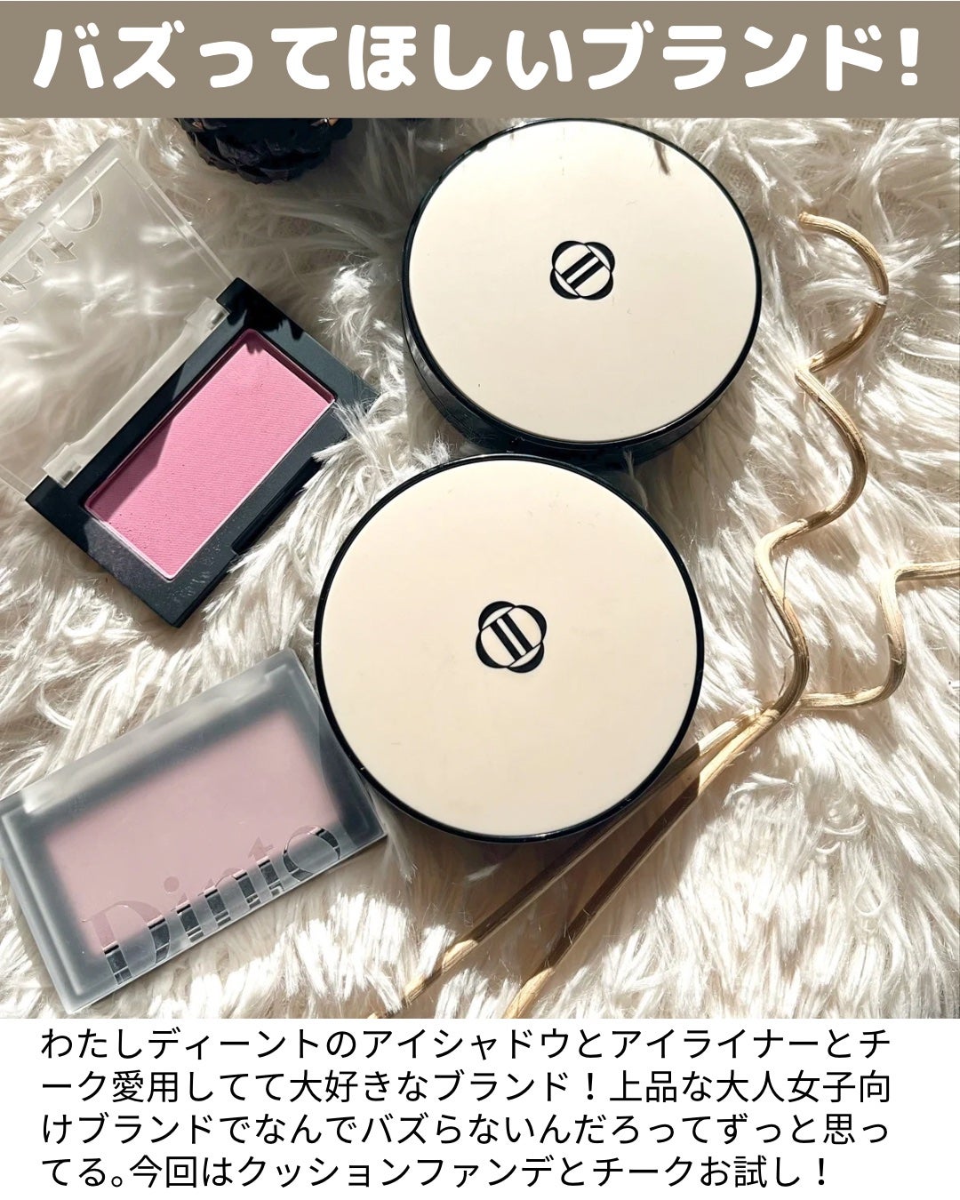 ブラーフィニシュブラッシャー/Dinto/パウダーチークを使ったクチコミ(2枚目)