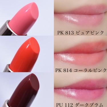 ミニバーム リップスティック PU112 ダークプラム(限定ティント)/Visée/口紅を使ったクチコミ（2枚目）