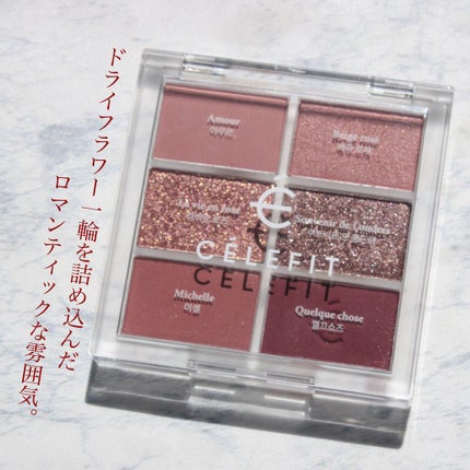 プロアイシャドウパレットセシル/CELEFIT/アイシャドウパレットを使ったクチコミ(1枚目)