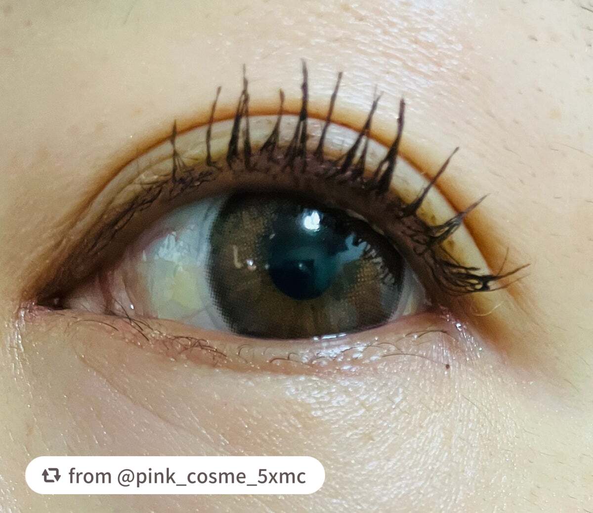 はさんであがるヒートカーラー/SHOBIDO/ホットビューラーを使ったクチコミ(3枚目)