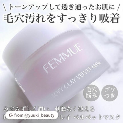 ソフトクレイ ベルベットマスク/FEMMUE/洗い流すパック・マスクを使ったクチコミ(1枚目)
