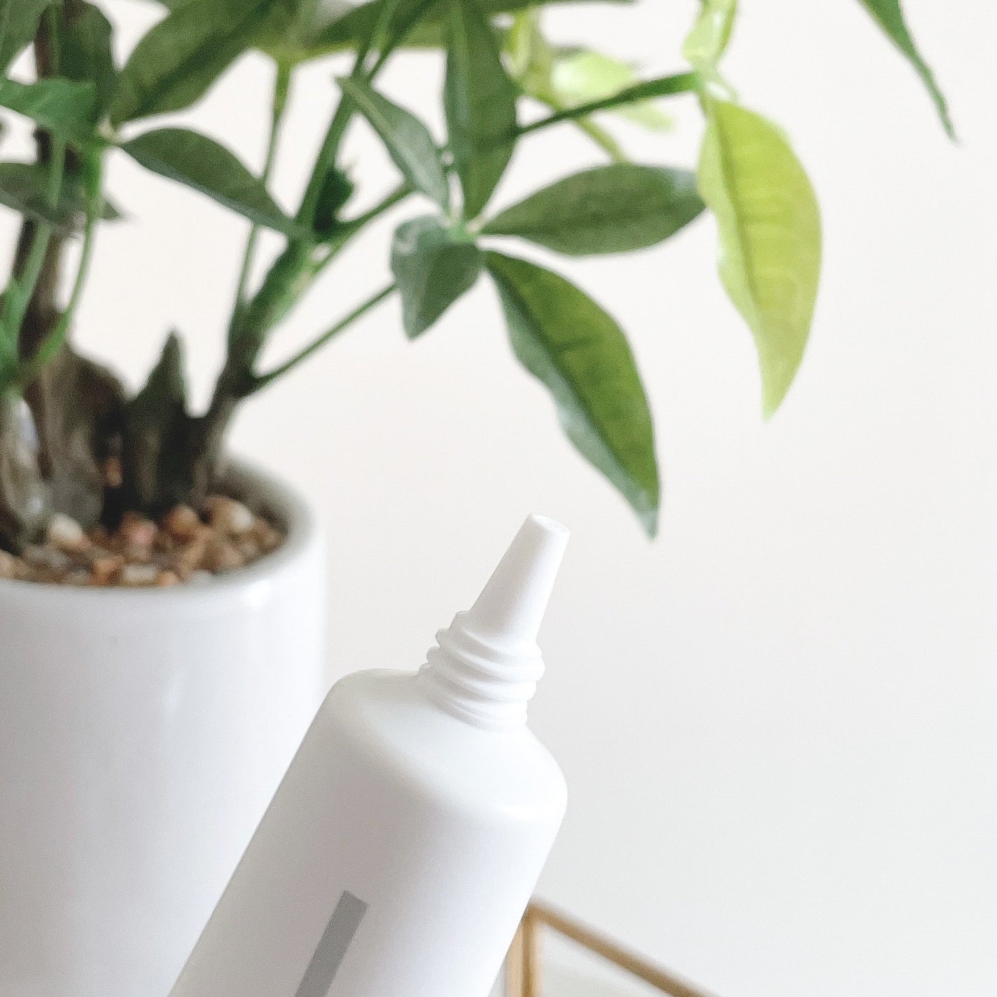 ✻うさぎさん✻ on LIPS 「オルビスリンクルブライトUVプロテクターブルーライトを40%カ..」(2枚目)