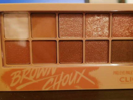 プロ アイ パレット/CLIO/アイシャドウパレットを使ったクチコミ(1枚目)