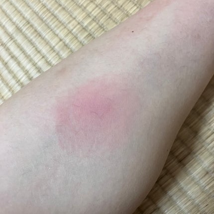 スポンジ付きチーク容器/DAISO/その他化粧小物を使ったクチコミ(8枚目)