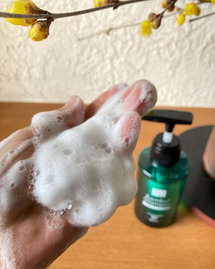 Rie_beauty on LIPS 「\インドネシア伝承ノニ配合スカルプケア/ランブットシャン..」(4枚目)