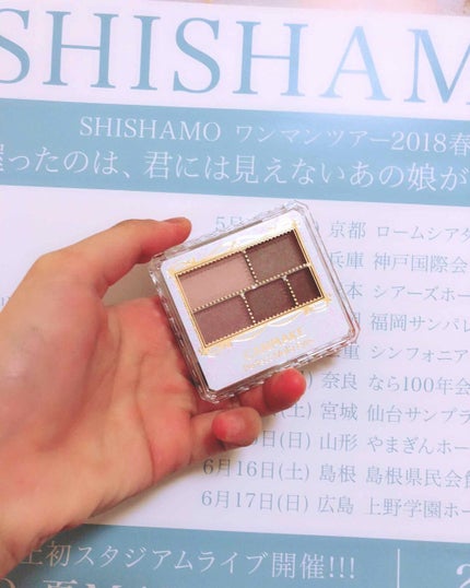 パーフェクトマルチアイズ/キャンメイク/アイシャドウパレットを使ったクチコミ(1枚目)