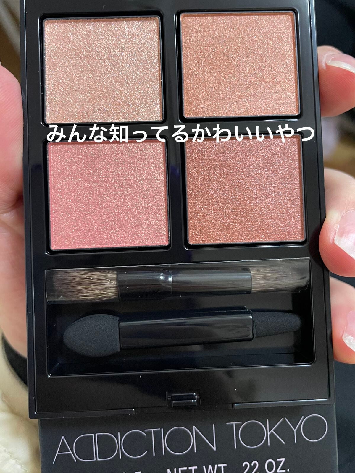 アディクション ザ アイシャドウ パレット/ADDICTION/アイシャドウパレットを使ったクチコミ(1枚目)