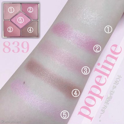 【旧】サンク クルール クチュール/Dior/アイシャドウパレットを使ったクチコミ(4枚目)