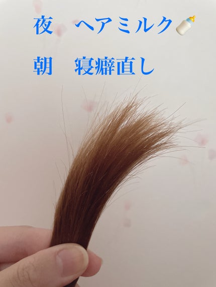 トリートメントリペアミルク/ディアボーテ/ヘアミルクを使ったクチコミ(2枚目)