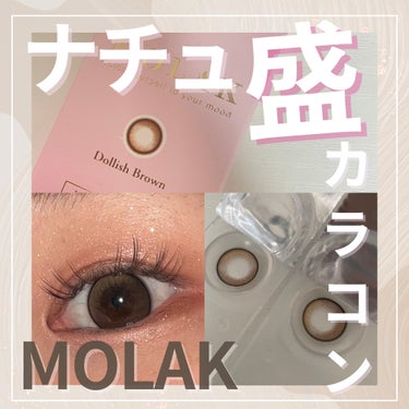 MOLAK 1day ドーリッシュブラウン/MOLAK/ワンデー（１DAY）カラコンを使ったクチコミ（1枚目）