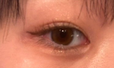 ベージュトーンアイシャドウ/CEZANNE/アイシャドウパレットを使ったクチコミ(2枚目)