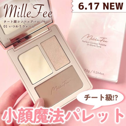 チート顔コントゥアパレット/MilleFée/パウダーハイライトを使ったクチコミ(1枚目)