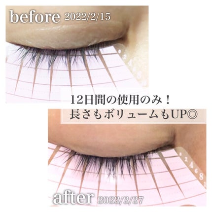 スカルプDボーテ ピュアフリーアイラッシュセラム プレミアムクイーン/アンファー(スカルプD)/まつげ美容液を使ったクチコミ(4枚目)