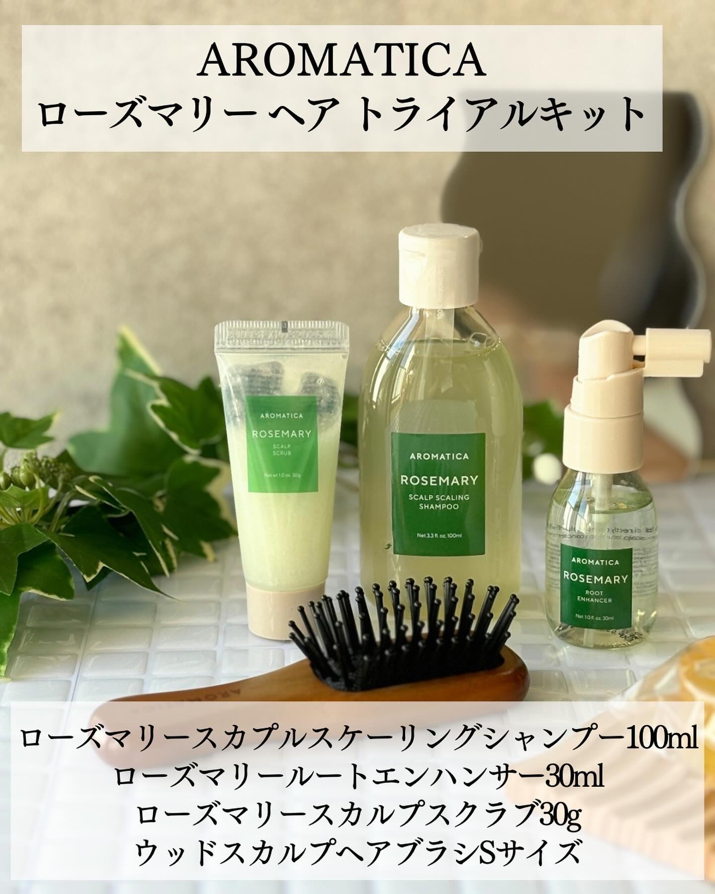 ローズマリールートエンハンサー/AROMATICA/頭皮ローションを使ったクチコミ（3枚目）