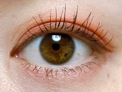 クイックラッシュカーラー/キャンメイク/マスカラ下地を使ったクチコミ(2枚目)