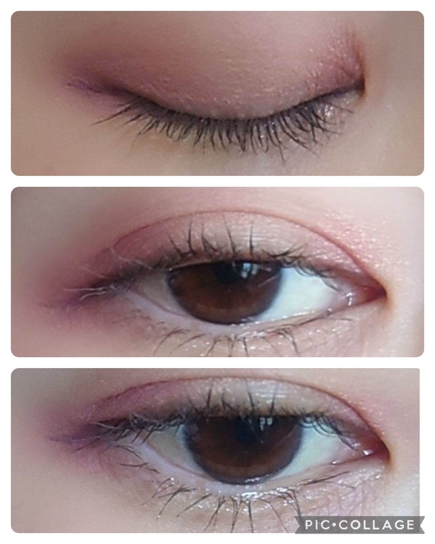 ソフトブラーリングアイパレット/wakemake/アイシャドウパレットを使ったクチコミ（2枚目）