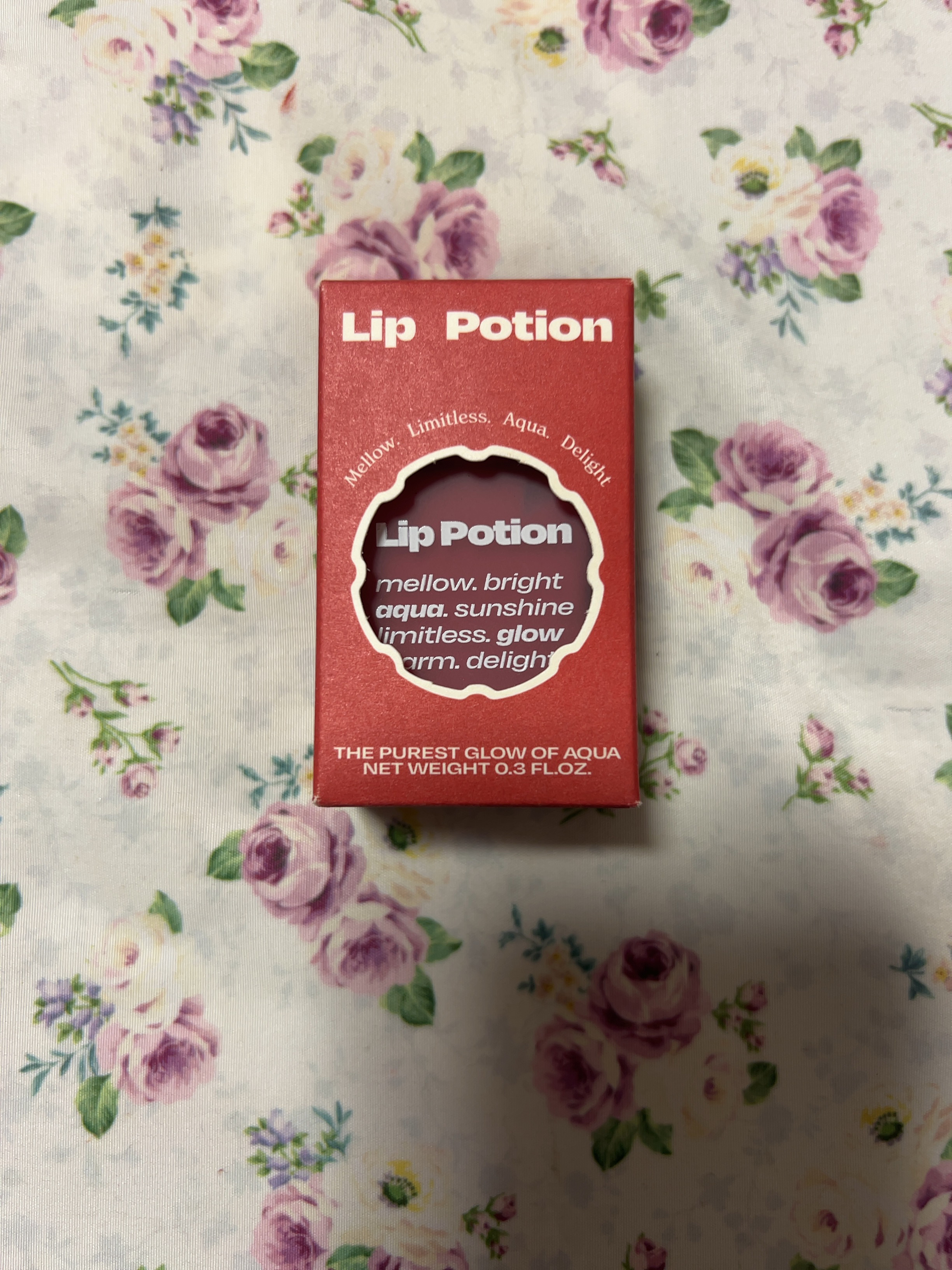 リップポーション アクアグロー 10 ダスティモーヴ(日本限定)/alternativestereo/リップグロスを使ったクチコミ（3枚目）