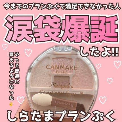 プランぷくコーデアイズNeo/キャンメイク/アイシャドウを使ったクチコミ(1枚目)