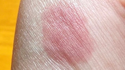 ノンセクショングローリーティント/EQUMAL/リップティントを使ったクチコミ(5枚目)