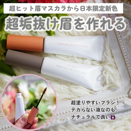 ハンオールブロウカラ/rom&nd/眉マスカラを使ったクチコミ(4枚目)