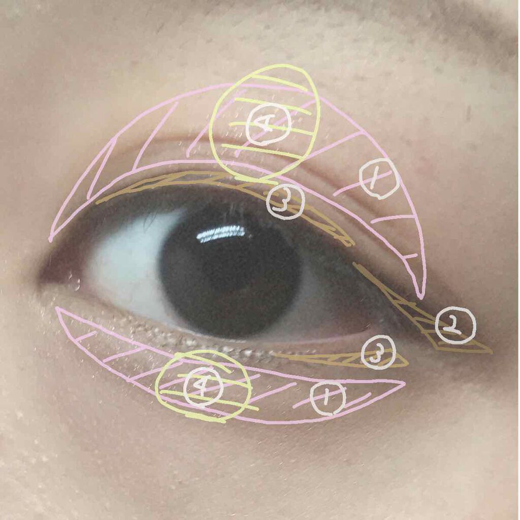 トーンアップアイシャドウ/CEZANNE/アイシャドウパレットを使ったクチコミ（3枚目）