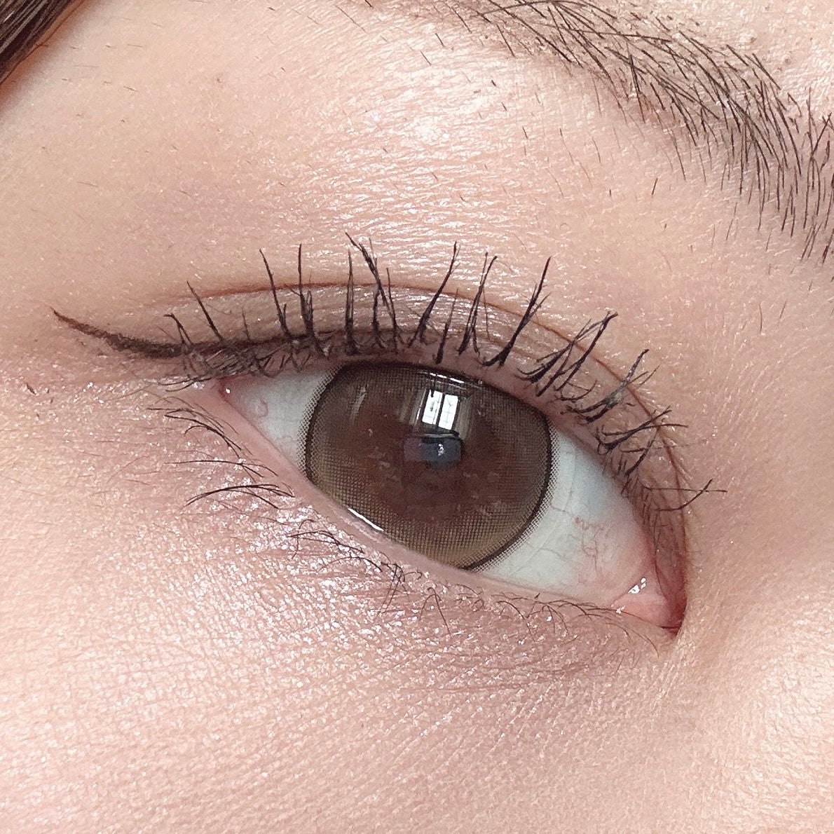 パノラマデザイン アイパレット/Visée/アイシャドウパレットを使ったクチコミ(2枚目)